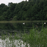 Озеро Троща
