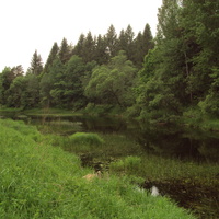 деревня Крутой ручей, река Ельша