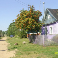 Улица Набережная Острова Залит (Талабск)