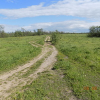 Дорога в Кузьмино.