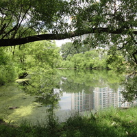 Загорьевский пруд
