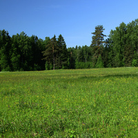 Павловский парк