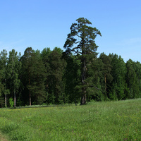 Павловский парк