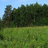 Павловский парк