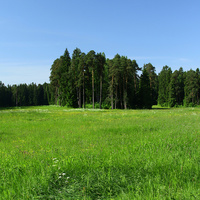 Павловский парк