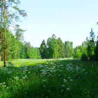 Павловский парк