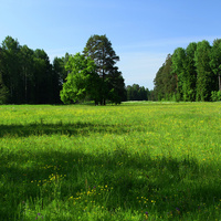 Павловский парк