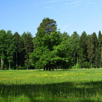 Павловский парк