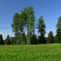 Павловский парк