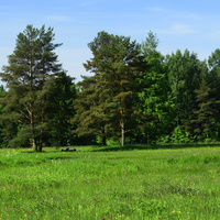 Павловский парк