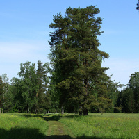 Павловский парк