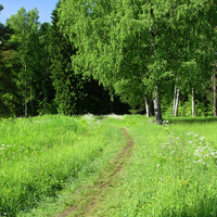 Павловский парк