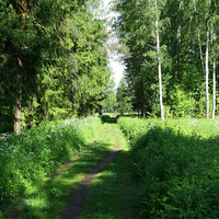 Павловский парк