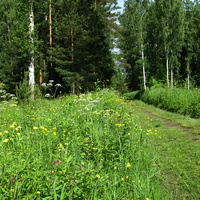 Павловский парк