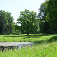 Павловский парк