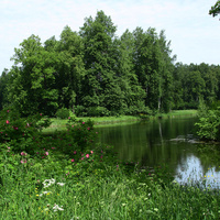 Павловский парк