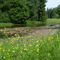 Павловский парк