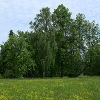 Павловский парк