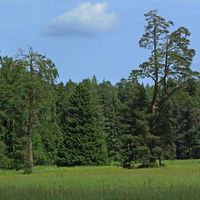 Павловский парк