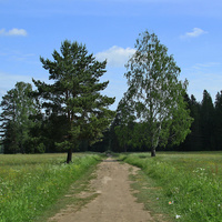 Павловский парк