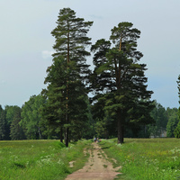 Павловский парк