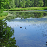 Верхний пруд