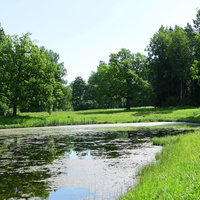 Средний пруд