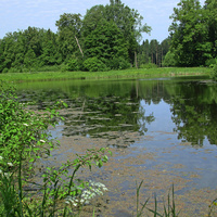 Средний пруд