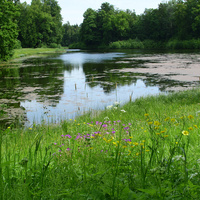 Средний пруд