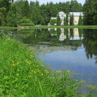 Средний пруд