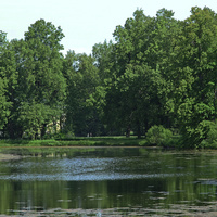 Средний пруд