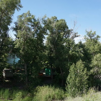 База моржей.