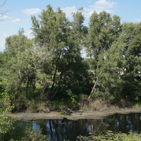 Окрестности старого города.