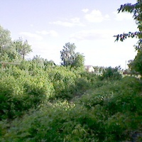 Тропинка вдоль ул. Советская