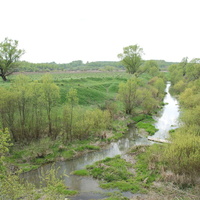Река Рука в Прокино