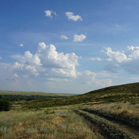 Оренбургские степи...