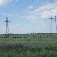 Орск.Степь.