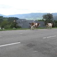 Bellecombe-en-Bauges 2014