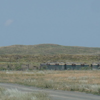 Перегон в степи.