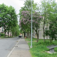 Нарва, около ратуши