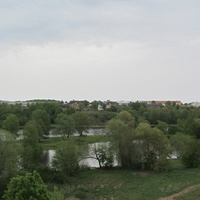 I. Grafovi, Нарва