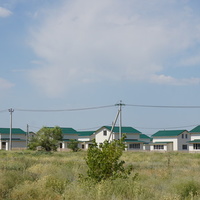 На Западном проспекте.