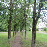 Нарва, аллея