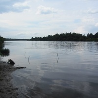Сала, берега реки Луги