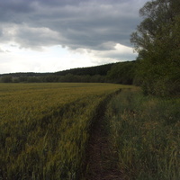 Дорога вдоль берега реки