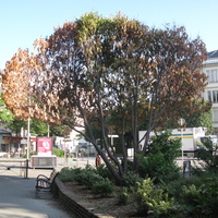 Chambéry 2015
