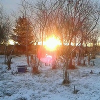 Зимнее солнце