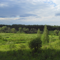 Берёзовец. Зелёные просторы