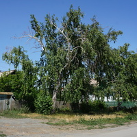 Новотроицк.