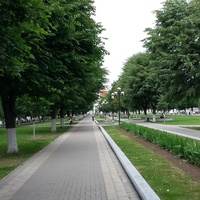 Сквер на Коломенской улице